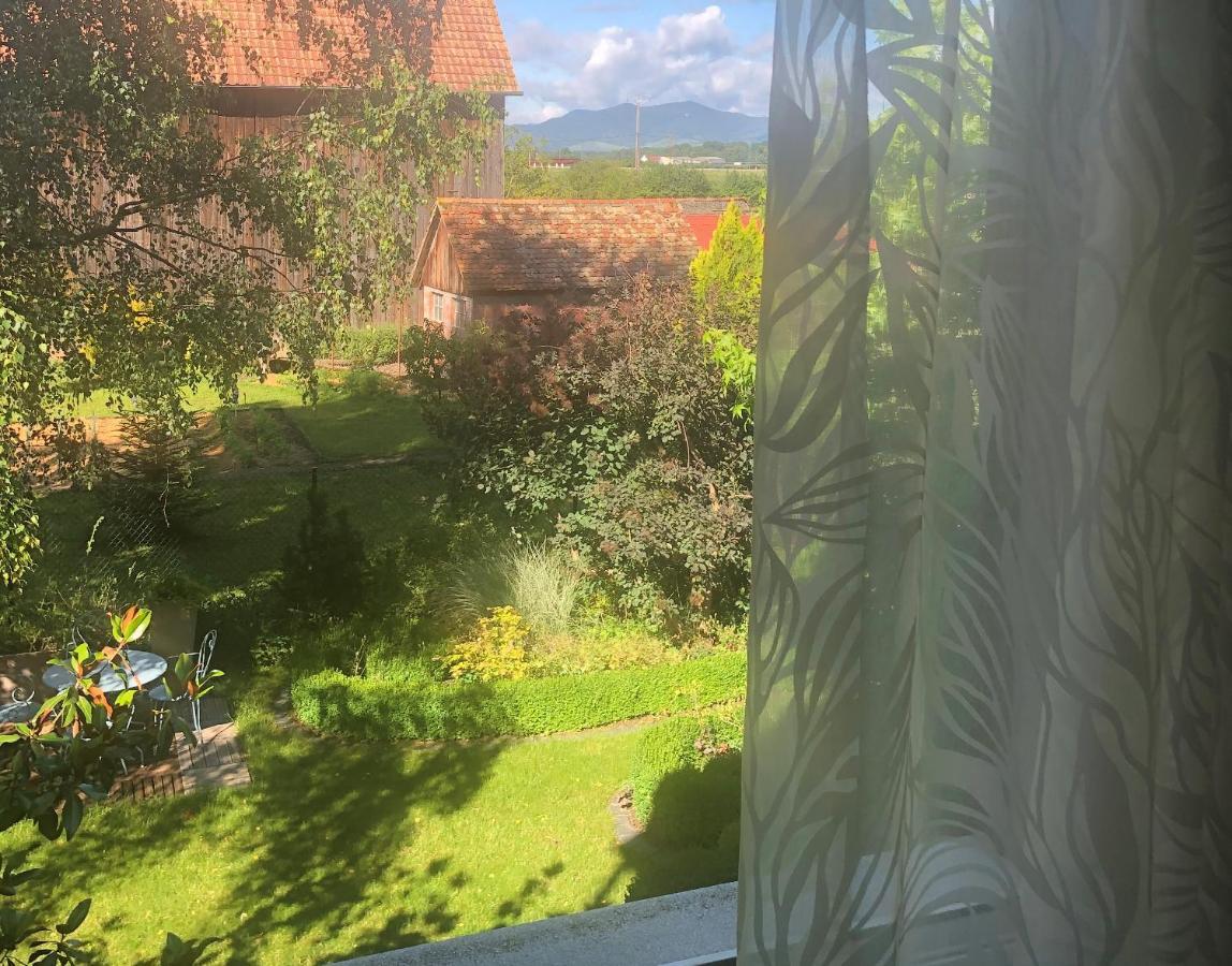 Au Relais De L'Ill 호텔 Sermersheim 외부 사진